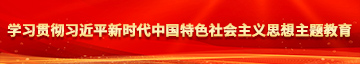 好屌逼视频学习贯彻习近平新时代中国特色社会主义思想主题教育